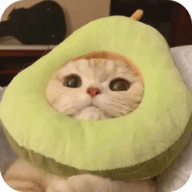 成人永久免费看视频APPAPP应用